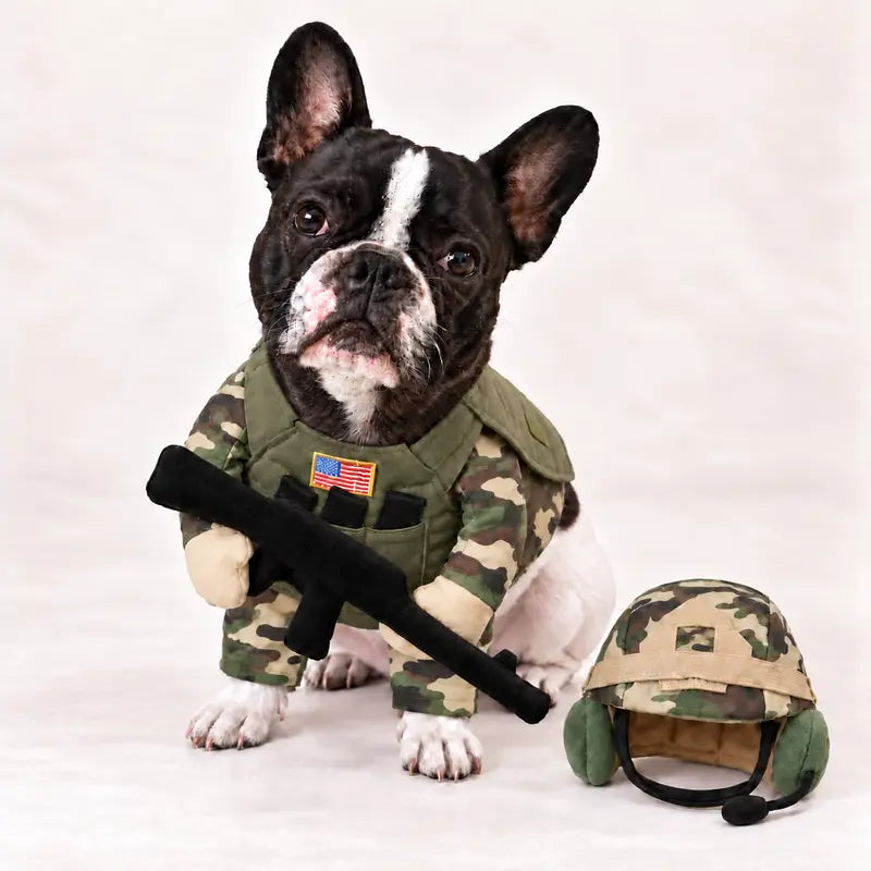 Soldier Dog Costume with Camo Helmet and Headset 5
